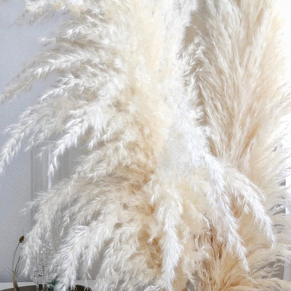 Sustainable decor.