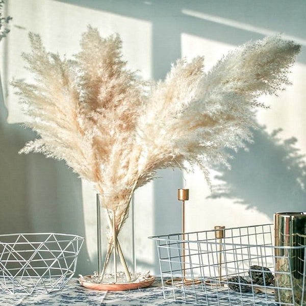 Eco friendly decor.