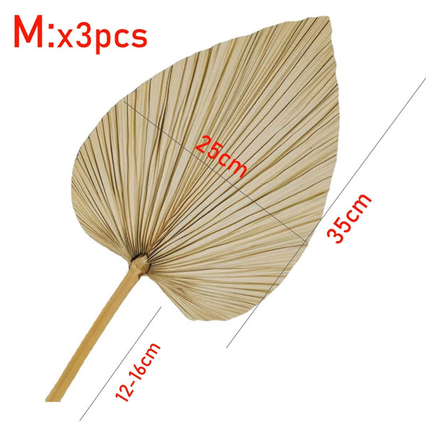 Palm leaf interior design.