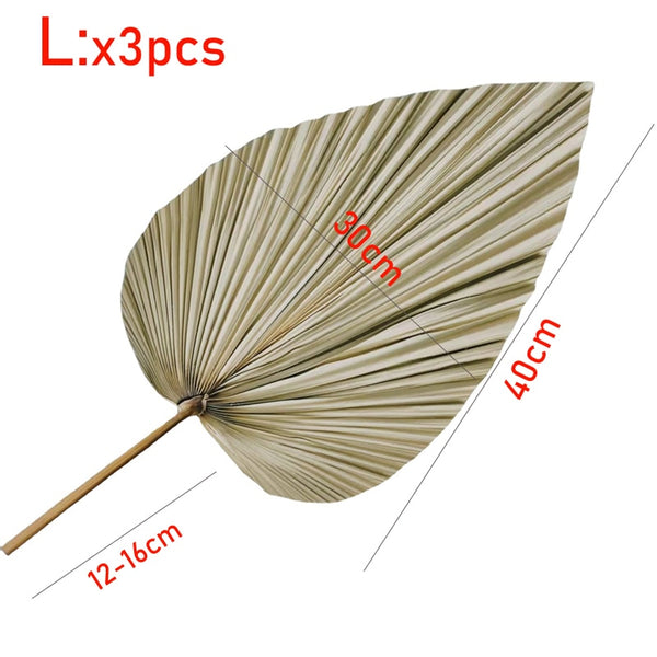 Palm leaf decor.