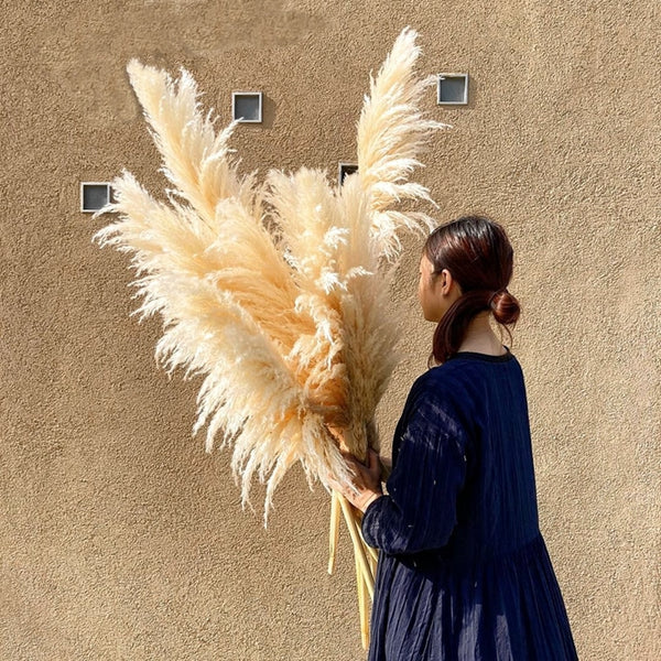 Large Pampas Grass.