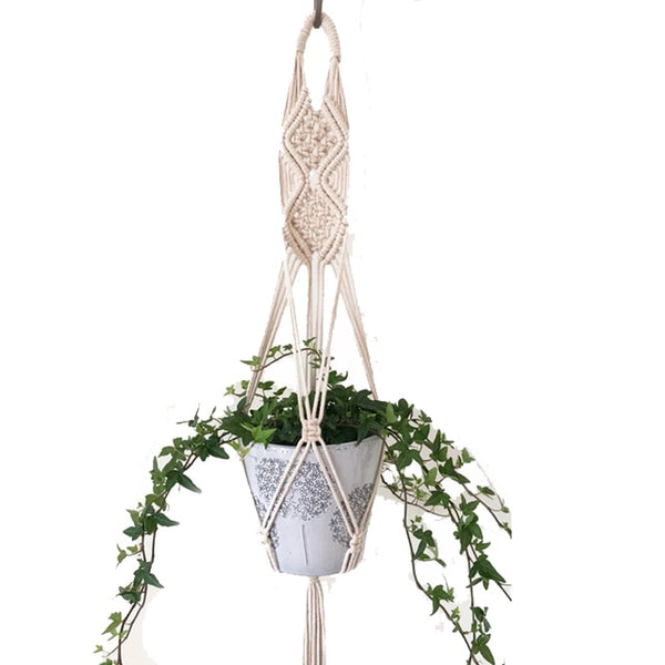 Macrame plant hanger.