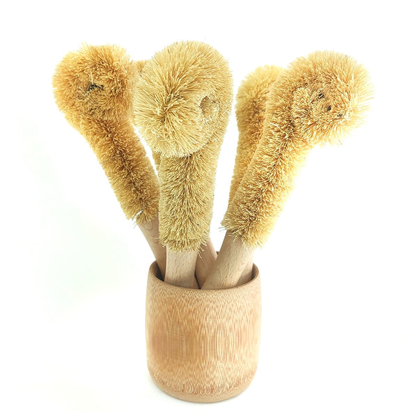Plant fibre bottle brush.