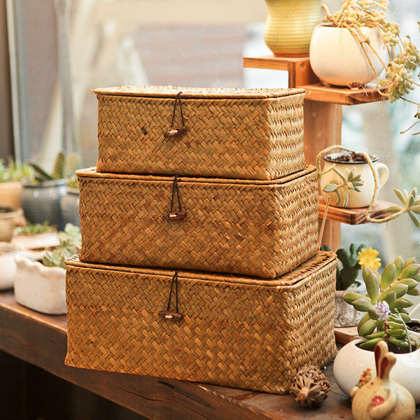 Biodegradable set of storage boxes.