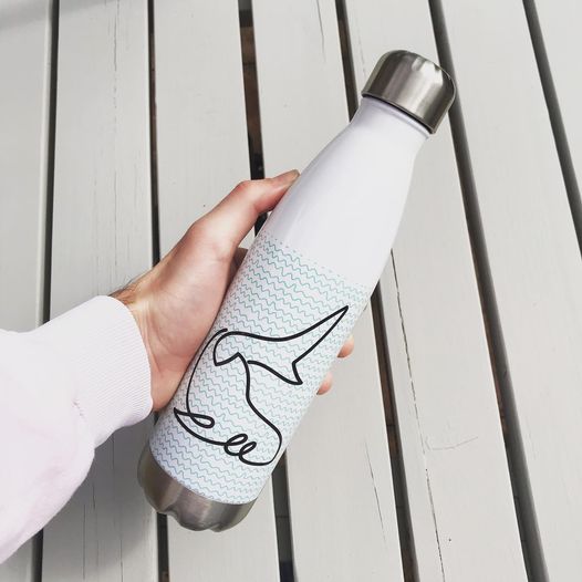 Stainless Steel Water Bottle - EcoPByLeo