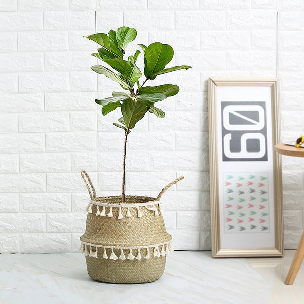 Hand woven plant pot with white tassels.